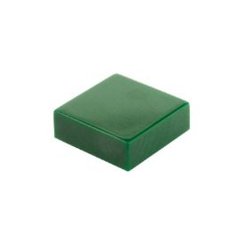 Image de Carreaux en vrac 1x1 vert mousse 484